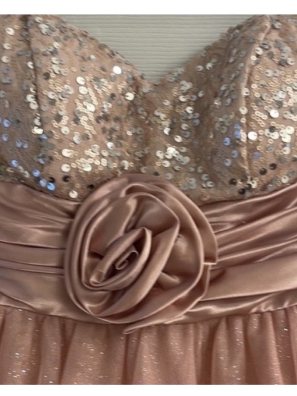 Speechless formal dress - Picture 4 of 8
